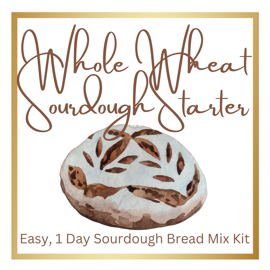 Sourdough Starter Kit | Whole Wheat | One Day | Easy